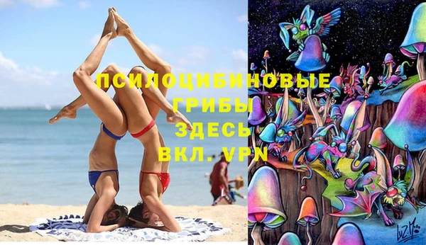 не бодяженный Алзамай